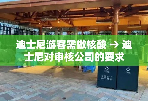 迪士尼游客需做核酸 → 迪士尼对审核公司的要求