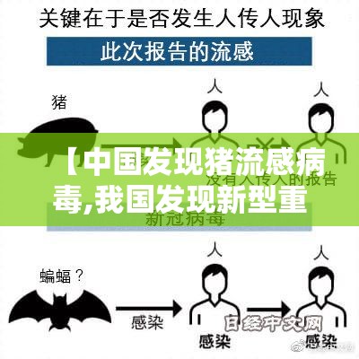 【中国发现猪流感病毒,我国发现新型重组猪流感病毒】 【中国发现猪流感病毒,我国发现新型重组猪流感病毒】