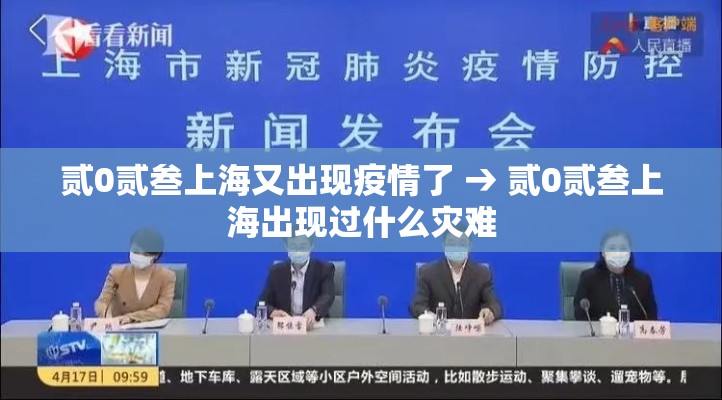 贰0贰叁上海又出现疫情了 → 贰0贰叁上海出现过什么灾难