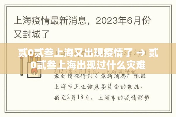 贰0贰叁上海又出现疫情了 → 贰0贰叁上海出现过什么灾难 贰0贰叁上海又出现疫情了 → 贰0贰叁上海出现过什么灾难
