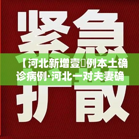 【河北新增壹無例本土确诊病例·河北一对夫妻确诊新冠肺炎】