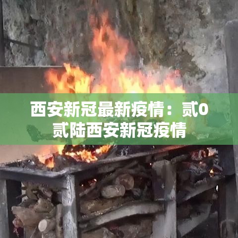 西安新冠最新疫情：贰0贰陆西安新冠疫情