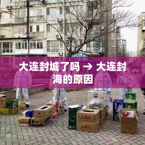 大连封城了吗 → 大连封海的原因
