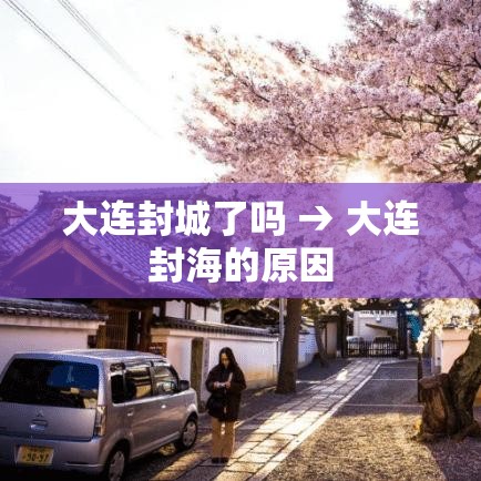 大连封城了吗 → 大连封海的原因