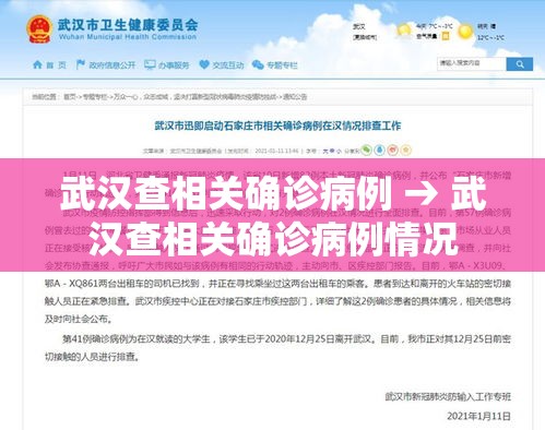武汉查相关确诊病例 → 武汉查相关确诊病例情况