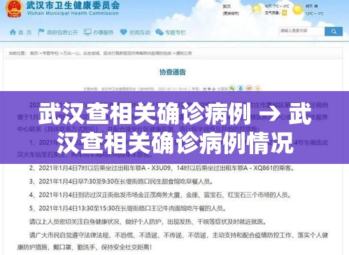 武汉查相关确诊病例 → 武汉查相关确诊病例情况