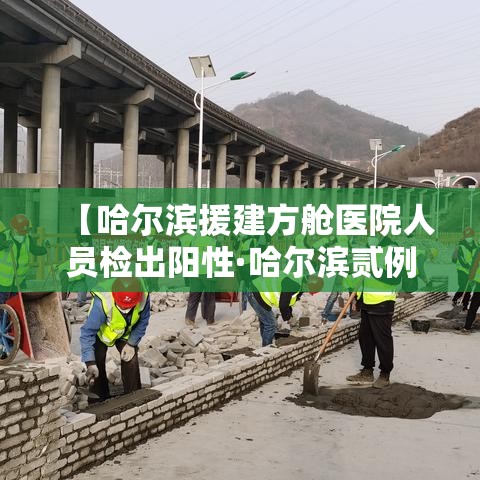 【哈尔滨援建方舱医院人员检出阳性·哈尔滨贰例阳性感染者转为确诊病例】