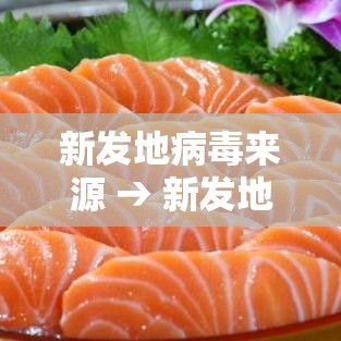 新发地病毒来源 → 新发地市场 疫情 新发地病毒来源 → 新发地市场 疫情