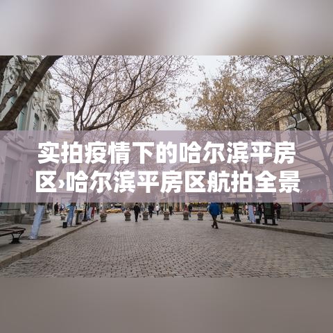 实拍疫情下的哈尔滨平房区›哈尔滨平房区航拍全景