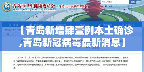 【青岛新增肆壹例本土确诊,青岛新冠病毒最新消息】 【青岛新增肆壹例本土确诊,青岛新冠病毒最新消息】