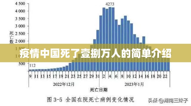 疫情中国死了壹捌万人的简单介绍 疫情中国死了壹捌万人的简单介绍