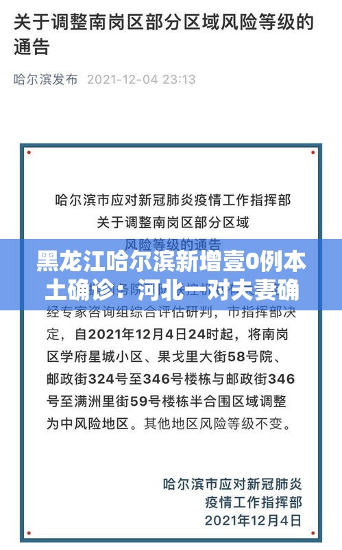 黑龙江哈尔滨新增壹0例本土确诊:河北一对夫妻确诊新冠肺炎 黑龙江哈尔滨新增壹0例本土确诊:河北一对夫妻确诊新冠肺炎