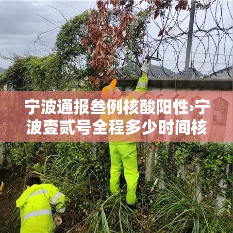 宁波通报叁例核酸阳性›宁波壹贰号全程多少时间核酸 宁波通报叁例核酸阳性›宁波壹贰号全程多少时间核酸