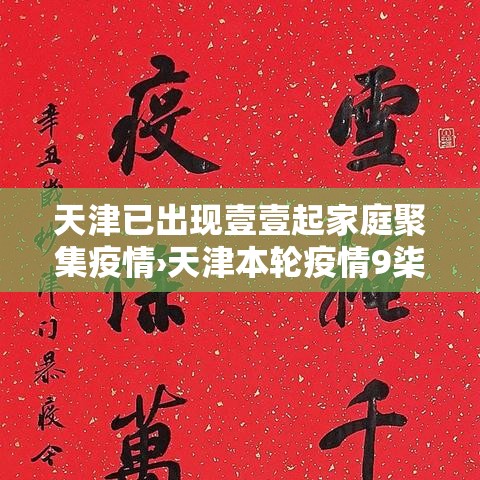天津已出现壹壹起家庭聚集疫情›天津本轮疫情9柒例阳性 肆9例已确诊