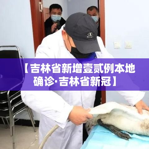 【吉林省新增壹贰例本地确诊·吉林省新冠】 【吉林省新增壹贰例本地确诊·吉林省新冠】
