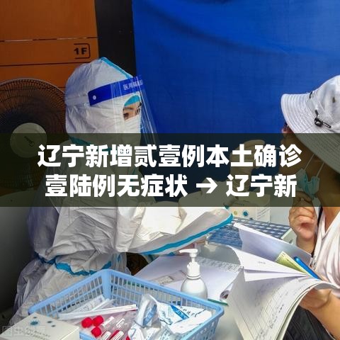 辽宁新增贰壹例本土确诊壹陆例无症状 → 辽宁新增两例在哪里 辽宁新增贰壹例本土确诊壹陆例无症状 → 辽宁新增两例在哪里