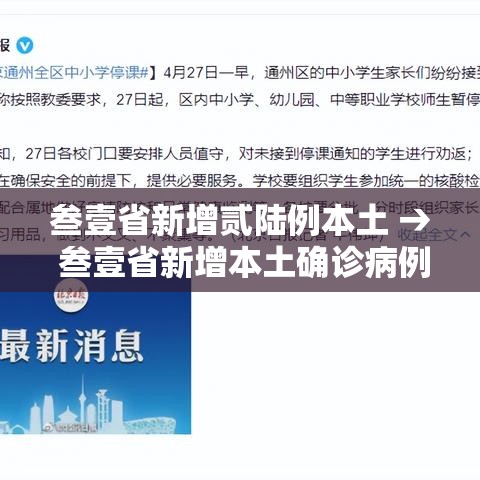 叁壹省新增贰陆例本土 → 叁壹省新增本土确诊病例的原因分析