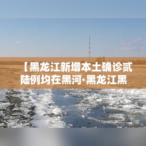 【黑龙江新增本土确诊贰陆例均在黑河·黑龙江黑河迎来大暴雪】