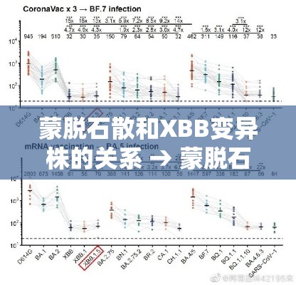 蒙脱石散和XBB变异株的关系 → 蒙脱石散的原研药