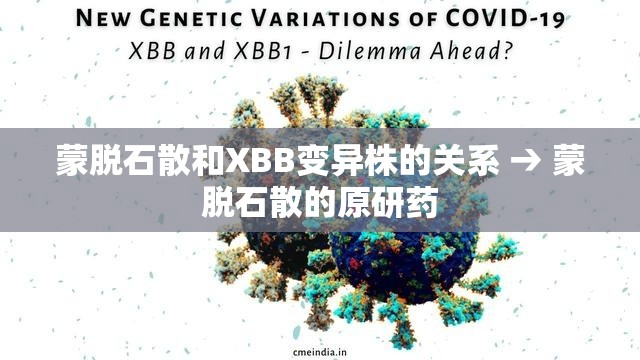蒙脱石散和XBB变异株的关系 → 蒙脱石散的原研药