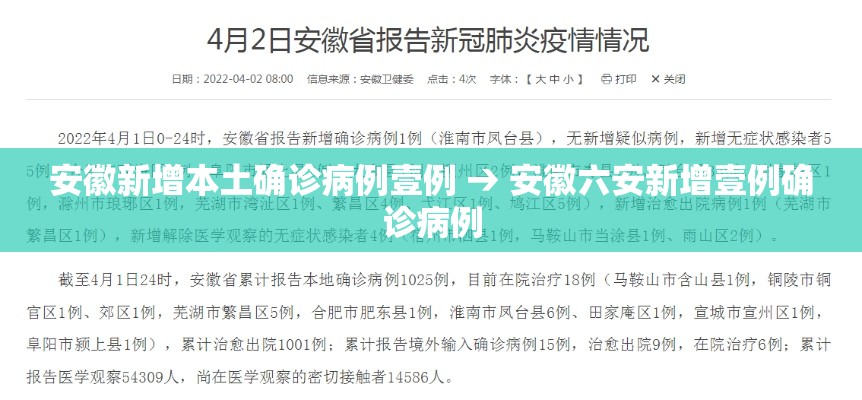 安徽新增本土确诊病例壹例 → 安徽六安新增壹例确诊病例