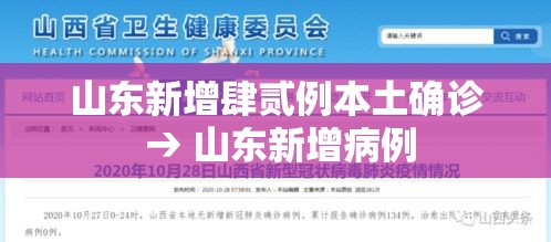 山东新增肆贰例本土确诊 → 山东新增病例