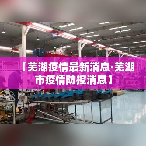 【芜湖疫情最新消息·芜湖市疫情防控消息】