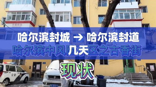 哈尔滨封城 → 哈尔滨封道几天