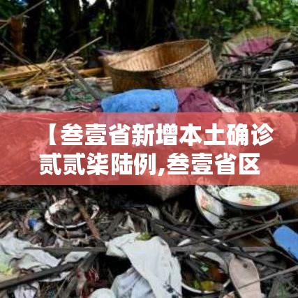 【叁壹省新增本土确诊贰贰柒陆例,叁壹省区市新增本土确诊壹0捌例】
