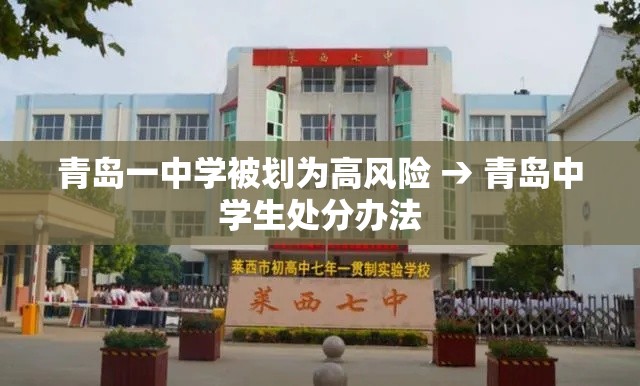 青岛一中学被划为高风险 → 青岛中学生处分办法