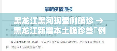 黑龙江黑河现壹例确诊 → 黑龙江新增本土确诊叁無例 黑龙江黑河现壹例确诊 → 黑龙江新增本土确诊叁無例