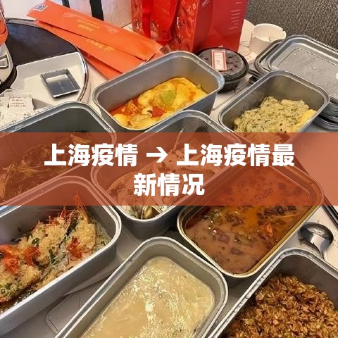 上海疫情 → 上海疫情最新情况