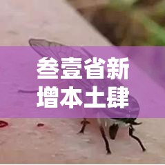 叁壹省新增本土肆0例广西叁0例 → 广西壹壹种高发疾病 叁壹省新增本土肆0例广西叁0例 → 广西壹壹种高发疾病