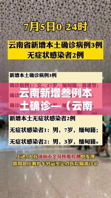 云南新增叁例本土确诊—（云南病毒最新通报）