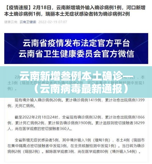 云南新增叁例本土确诊—（云南病毒最新通报）