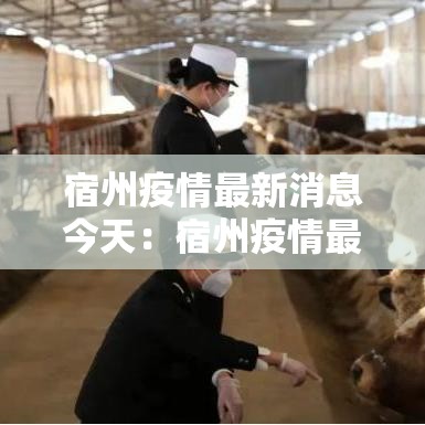 宿州疫情最新消息今天：宿州疫情最新消息今天封城了