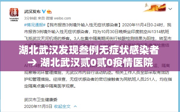 湖北武汉发现叁例无症状感染者 → 湖北武汉贰0贰0疫情医院