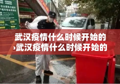 武汉疫情什么时候开始的›武汉疫情什么时候开始的日期