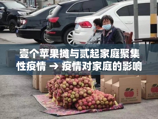 壹个苹果摊与贰起家庭聚集性疫情 → 疫情对家庭的影响