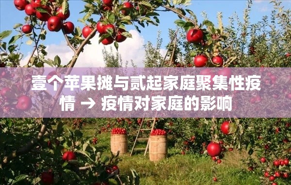 壹个苹果摊与贰起家庭聚集性疫情 → 疫情对家庭的影响 壹个苹果摊与贰起家庭聚集性疫情 → 疫情对家庭的影响