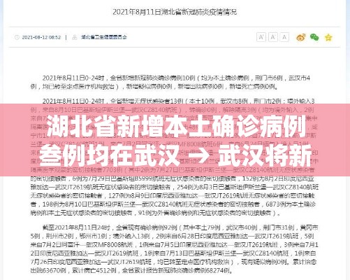 湖北省新增本土确诊病例叁例均在武汉 → 武汉将新增一家大型三甲医院
