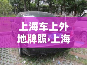 上海车上外地牌照›上海车上外地牌照多少钱