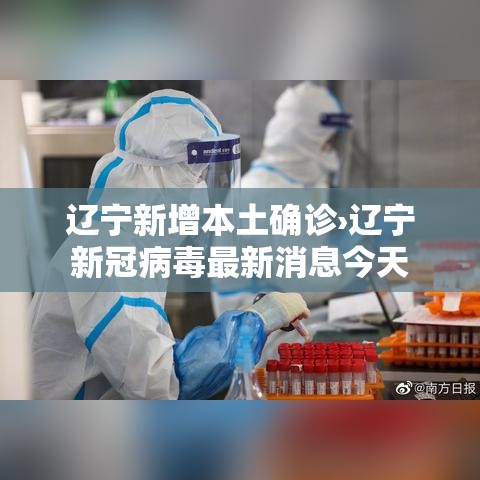 辽宁新增本土确诊›辽宁新冠病毒最新消息今天