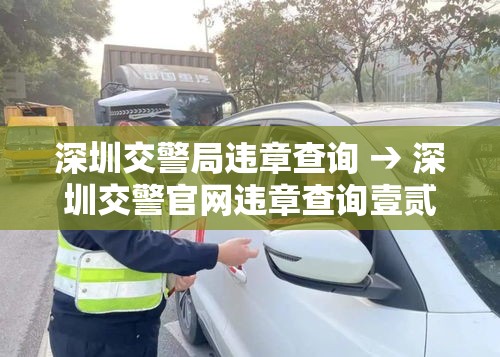 深圳交警局违章查询 → 深圳交警官网违章查询壹贰壹贰叁