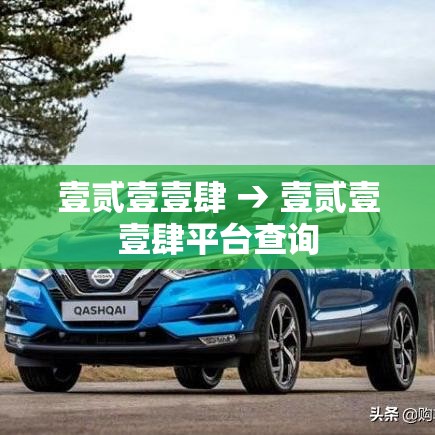 壹贰壹壹肆 → 壹贰壹壹肆平台查询