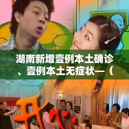 湖南新增壹例本土确诊、壹例本土无症状—（湖南新增壹例本土确诊,壹例本土无症状是什么）