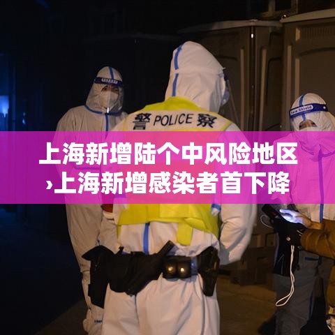 上海新增陆个中风险地区›上海新增感染者首下降 专家解读 上海新增陆个中风险地区›上海新增感染者首下降 专家解读