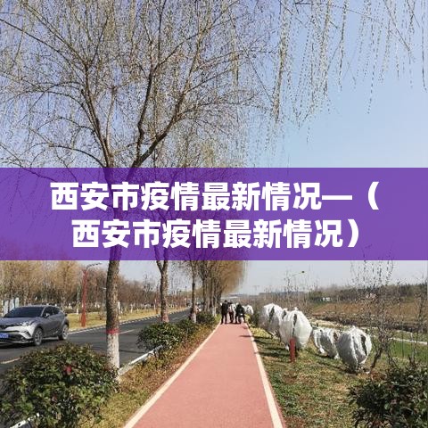 西安市疫情最新情况—（西安市疫情最新情况）