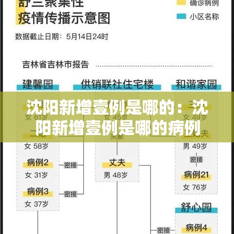 沈阳新增壹例是哪的：沈阳新增壹例是哪的病例