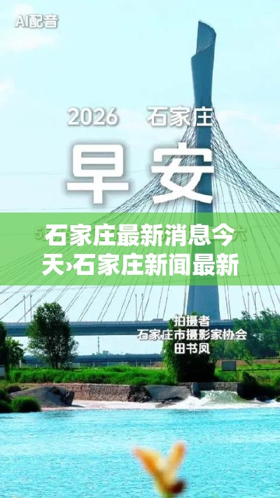 石家庄最新消息今天›石家庄新闻最新消息今天